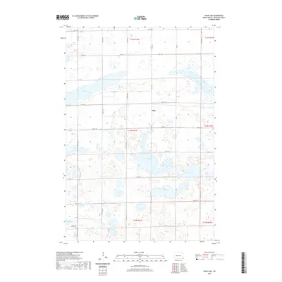 2020 Map of Swan Lake, 2020 Print
