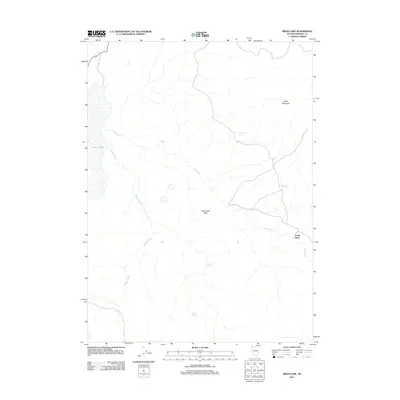 2011 Map of Swan Lake, 2011 Print
