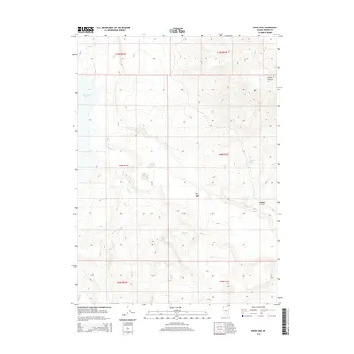 2015 Map of Swan Lake, 2015 Print