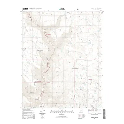 2014 Map of Sycamore Point, 2014 Print