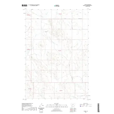 2020 Map of T Creek, 2020 Print