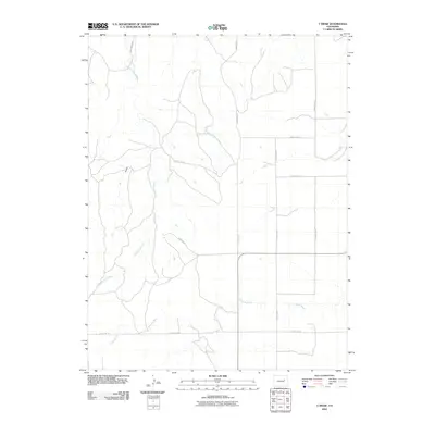 2010 Map of T Draw, 2010 Print
