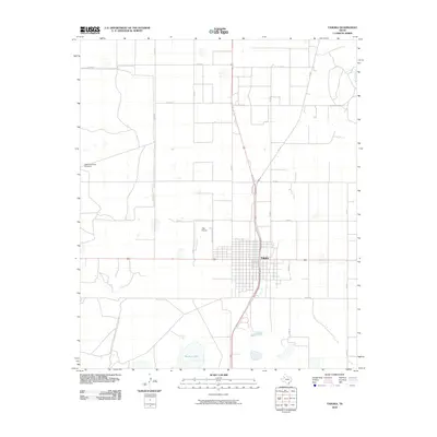 2010 Map of Tahoka, 2010 Print