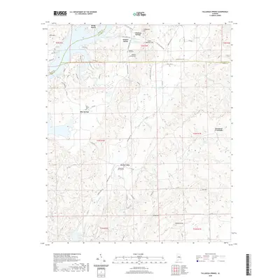 2020 Map of Talladega Springs, 2020 Print