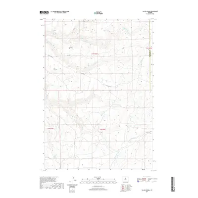 2017 Map of Tallon Spring, 2017 Print