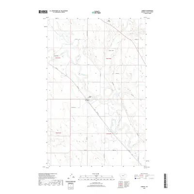 2020 Map of Tampico, 2020 Print