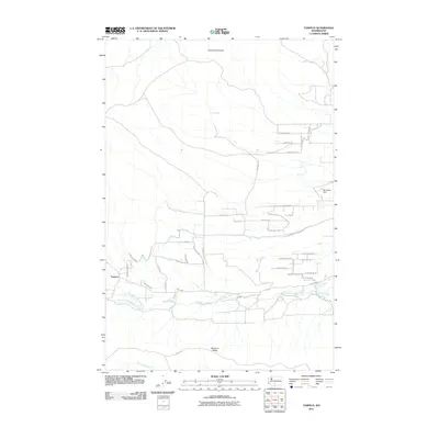 2011 Map of Tampico, 2011 Print