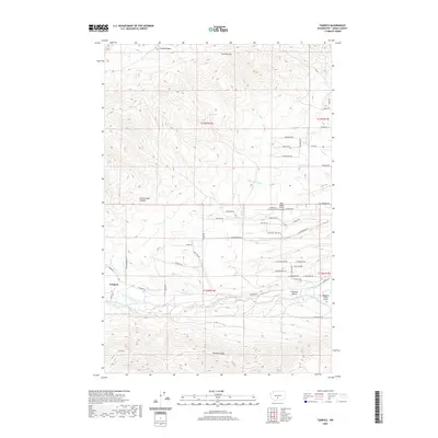 2020 Map of Tampico, 2020 Print