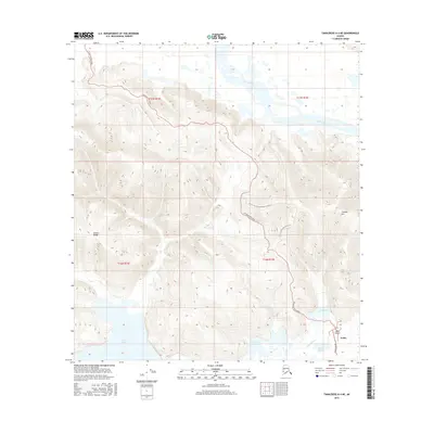 2016 Map of Tanacross A-4 NE, 2016 Print