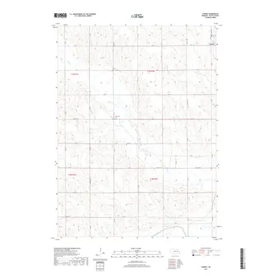 2017 Map of Tarnov, 2017 Print