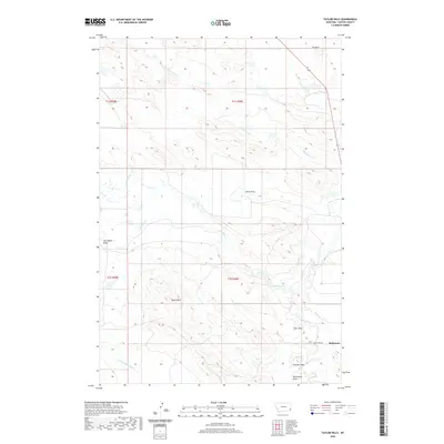 2020 Map of Taylor Hills, 2020 Print