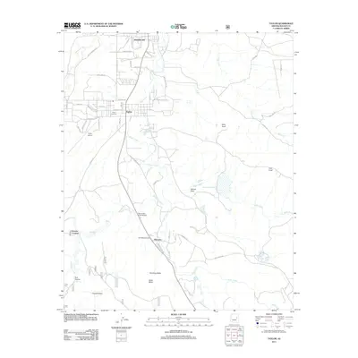 2011 Map of Taylor, 2011 Print