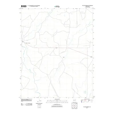 2010 Map of Taylor Springs, 2010 Print