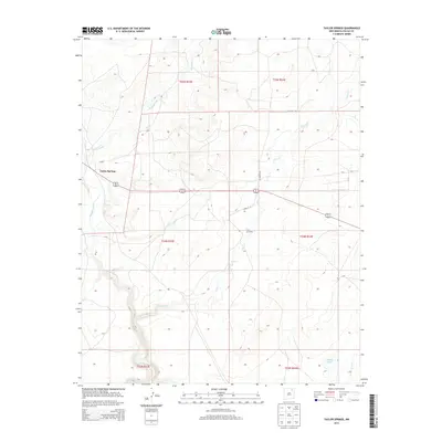 2013 Map of Taylor Springs, 2013 Print