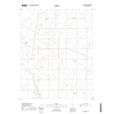2020 Map of Taylor Springs, 2020 Print