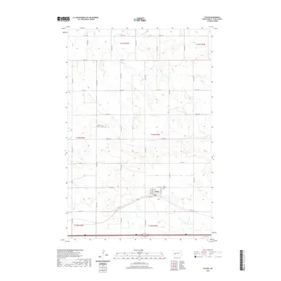 2020 Map of Taylor, 2020 Print