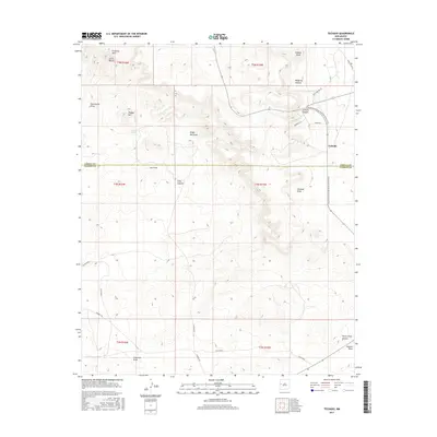 2017 Map of Techado, 2017 Print