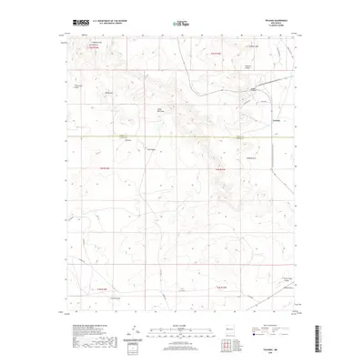 2020 Map of Techado, 2020 Print