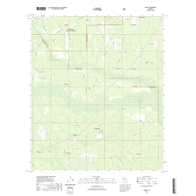 2020 Map of Temple, 2020 Print