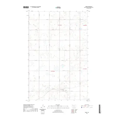 2020 Map of Temple, 2020 Print