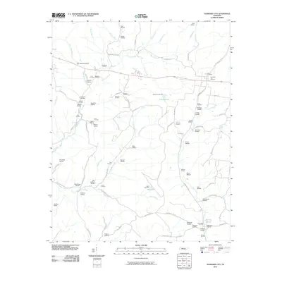 2010 Map of Tennessee City, 2010 Print
