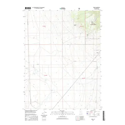 2017 Map of Terra, 2017 Print