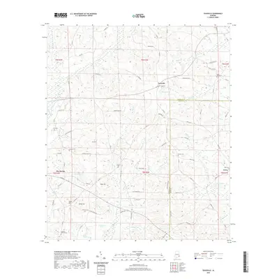 2020 Map of Texasville, 2020 Print