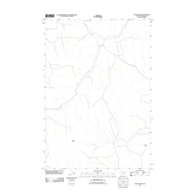 2011 Map of The Big Slide, 2011 Print