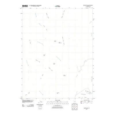 2010 Map of The Blocks, 2010 Print