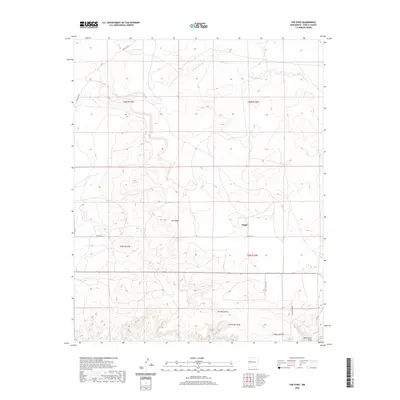 2020 Map of The Dyke, 2020 Print