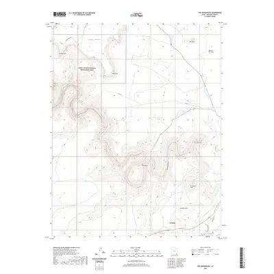 2020 Map of The Goosenecks, 2020 Print