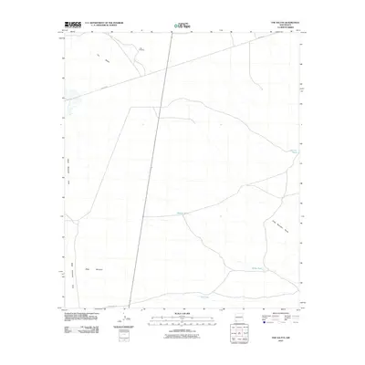 2010 Map of The Saltys, 2010 Print
