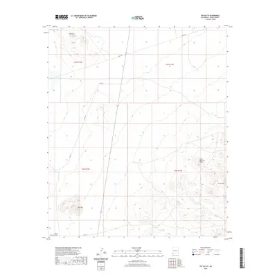 2020 Map of The Saltys, 2020 Print