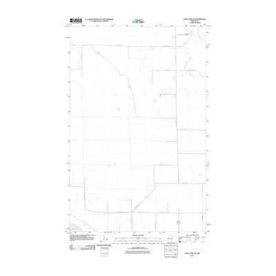 2010 Map of Thief Lake SE, 2010 Print