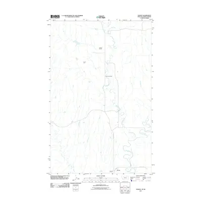 2011 Map of Thoeny, 2011 Print
