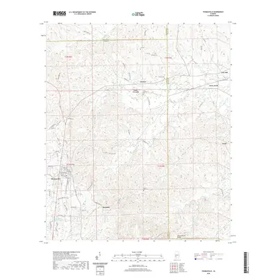 2020 Map of Thomasville, 2020 Print