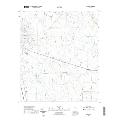 2020 Map of Tifton East, 2020 Print