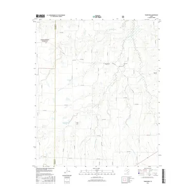 2016 Map of Tigertown, 2016 Print