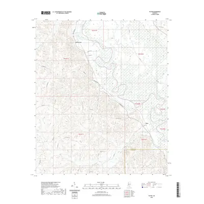 2020 Map of Tilton, 2020 Print