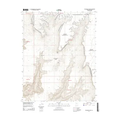 2014 Map of Tincanebitts Point, 2014 Print