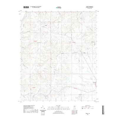 2020 Map of Tinsley, 2020 Print