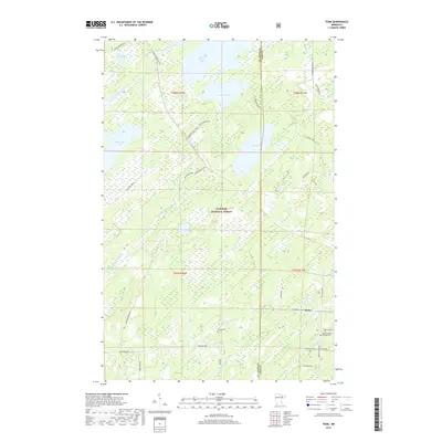 2019 Map of Toimi, 2019 Print
