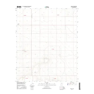 2017 Map of Tolar SE, 2017 Print