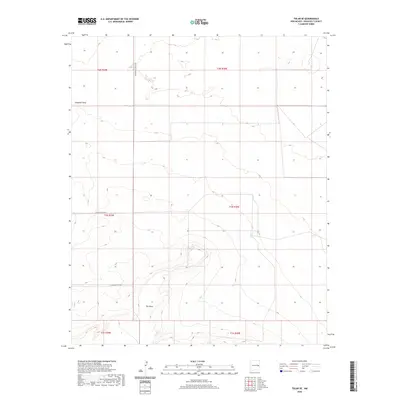 2020 Map of Tolar SE, 2020 Print