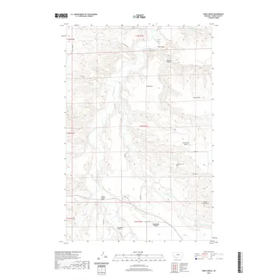 2020 Map of Toney Bench, 2020 Print