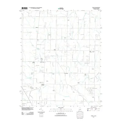 2011 Map of Toney, 2011 Print
