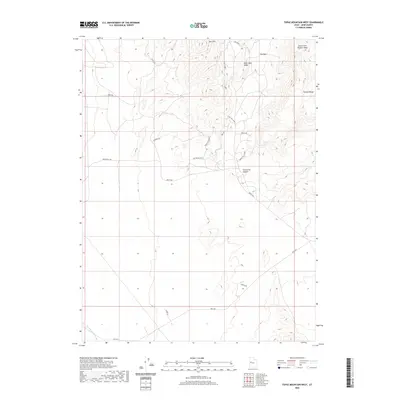 2020 Map of Topaz Mountain West, 2020 Print