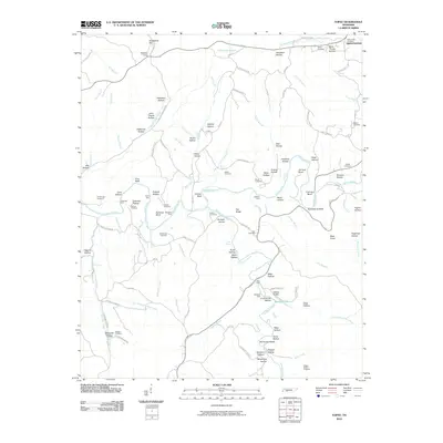 2010 Map of Topsy, 2010 Print