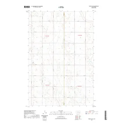 2020 Map of Tower City SW, 2020 Print