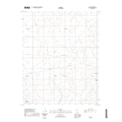 2020 Map of Toyee, 2020 Print